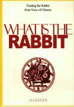 WHAT IS THE RABBIT FINDING THE RABBIT FROM VIEW OF CHINESE