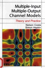 MULTIPLE-INPUT，MULTIPLE-OUTPUT CHANNEL MODELS THEORY AND PRACTICE