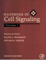 HANDBOOK OF CELL SIGNALING  VOLUME 1  SECOND EDITION