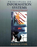 PRINCIPLES OF INFORMATION SYSTEMS A MANAGERIAL APPROACH