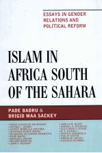 ISLAM IN AFRICA SOUTH OF THE SAHARA ESSYS IN GENDER RELATIONS AND POLITICAL REFORM