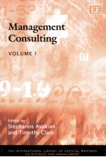 MANAGEMENT CONSULTING VOLUME I