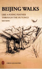 BEIJNG WALKS LIKE A FLYING FEATHER THROUGH THE HUTONGS