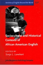 Sociocultural and historical contexts of African American English