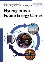 Hydrogen as a Future Energy Carrier