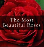 THE MOST BEAUTIFUL ROSES