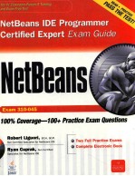 NERBEANS IDE PROGRAMMER CERTIFIED EXPERT EXAM GUIDE EXAM 310-045