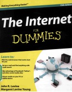 THE INTERNET FOR DUMMIES 13TH EDITION