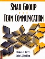 Small group and team communication