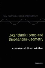 Logarithmic Forms and Diophantine Geometry