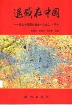 遥感在中国 纪念中国国家遥感中心成立十五周年论文集