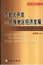 西部大开发与民族地区经济发展