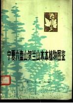 宁夏六盘山、贺兰山木本植物图鉴