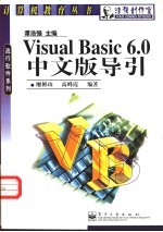 Visual Basic 6.0中文版导引