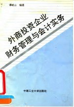 外商投资企业财务管理与会计实务