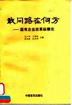 敢问路在何方  国有企业改革纵横论