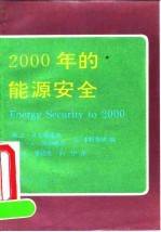 2000年的能源安全