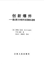 创新爆炸 通过智力和软件实现增长战略