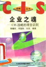 企业之魂 CIS战略的理念识别