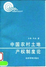 中国农村土地产权制度论