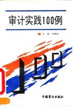 审计实践100例