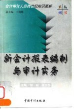 新会计报表编制与审计实务