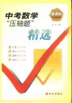 中考数学“压轴题”精选