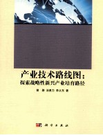 产业技术路线图 探索战略性新兴产业培育路径