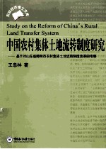 中国农村集体土地流转制度研究  基于对山东省滕州市农村集体土地流转制度改革的考察