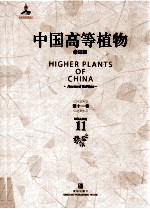 中国高等植物 修订版 第11卷